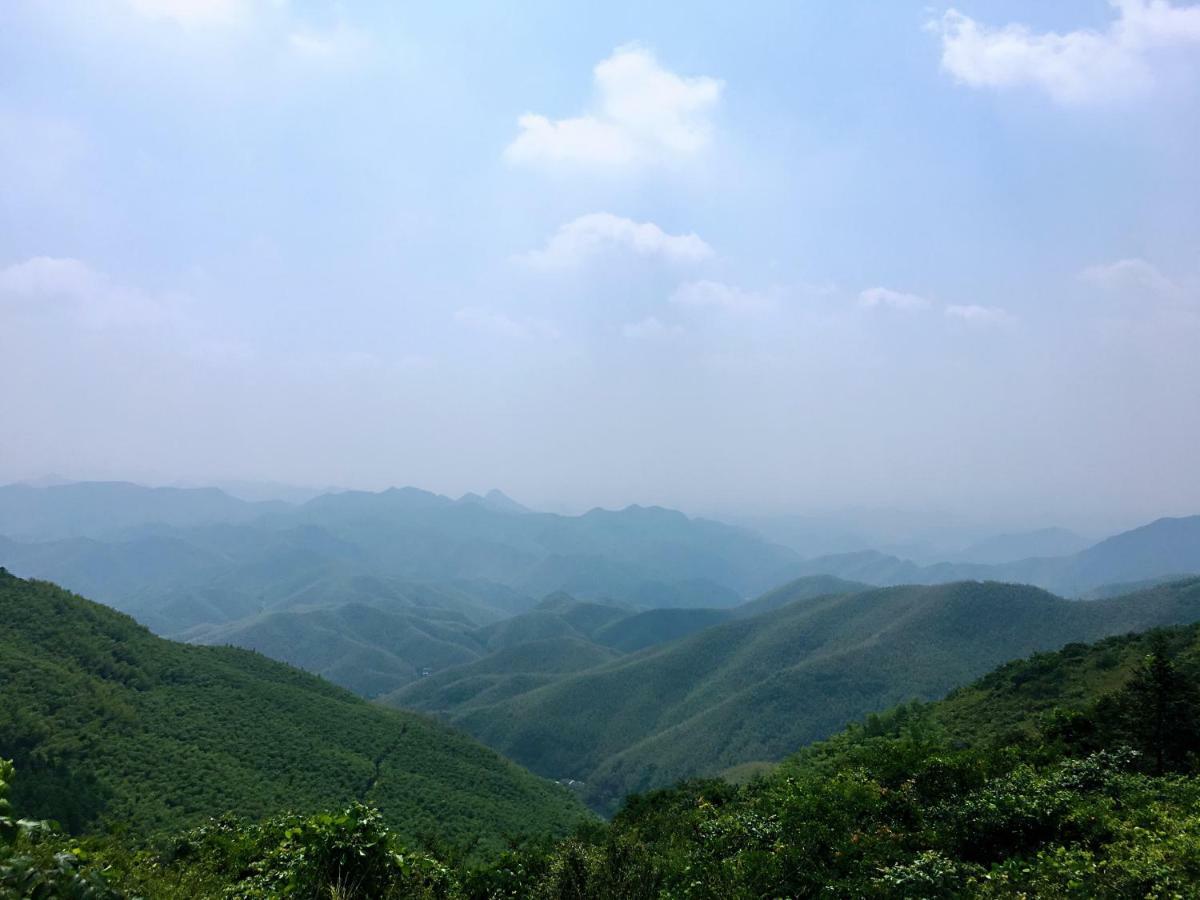 Deqing Moganshan Bamboo View Guesthouse المظهر الخارجي الصورة