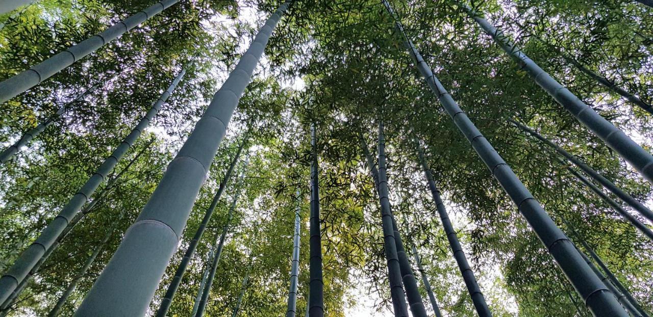 Deqing Moganshan Bamboo View Guesthouse المظهر الخارجي الصورة